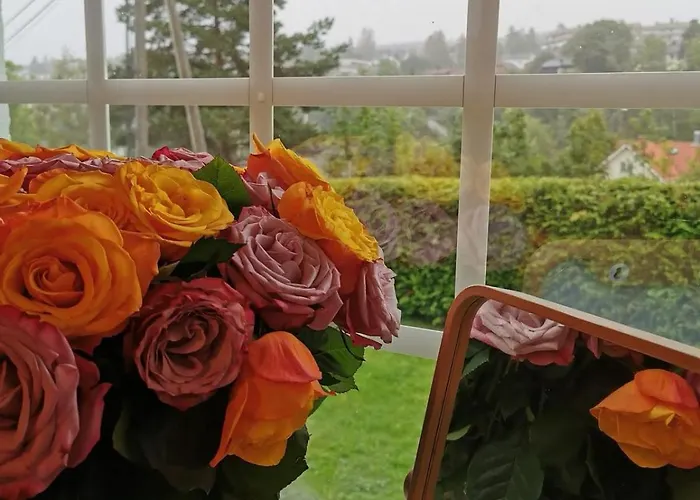 Uymaz מלון אוסלו